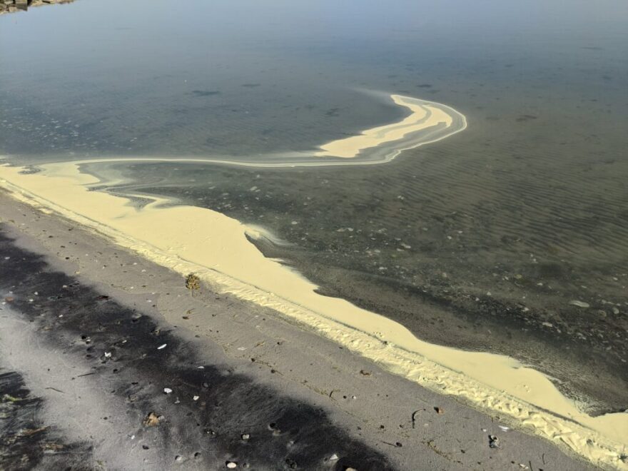 Sound Rivers officials say the yellow muck on area rivers, shorelines, and creeks that could crop up again this week, with the higher tree pollen counts that are expected, isn’t anything alarming, and is likely pine pollen.