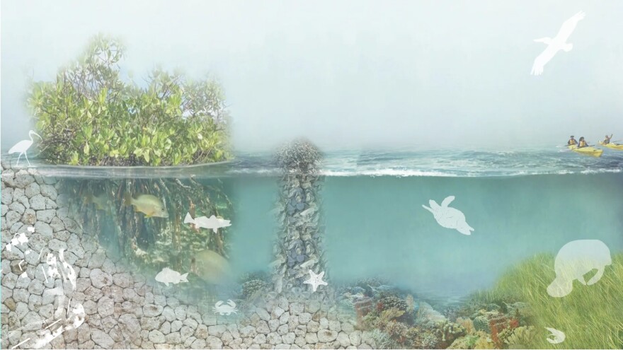 A rendering of green infrastructure that could protect the human environment as the 21st century brings sea level rise and more intense storms. Seagrass, coral reefs, oyster bars and mangrove shorelines all serve to diffuse storm surge and wave energy. They also provide excellent habitat for a range of marine life. 