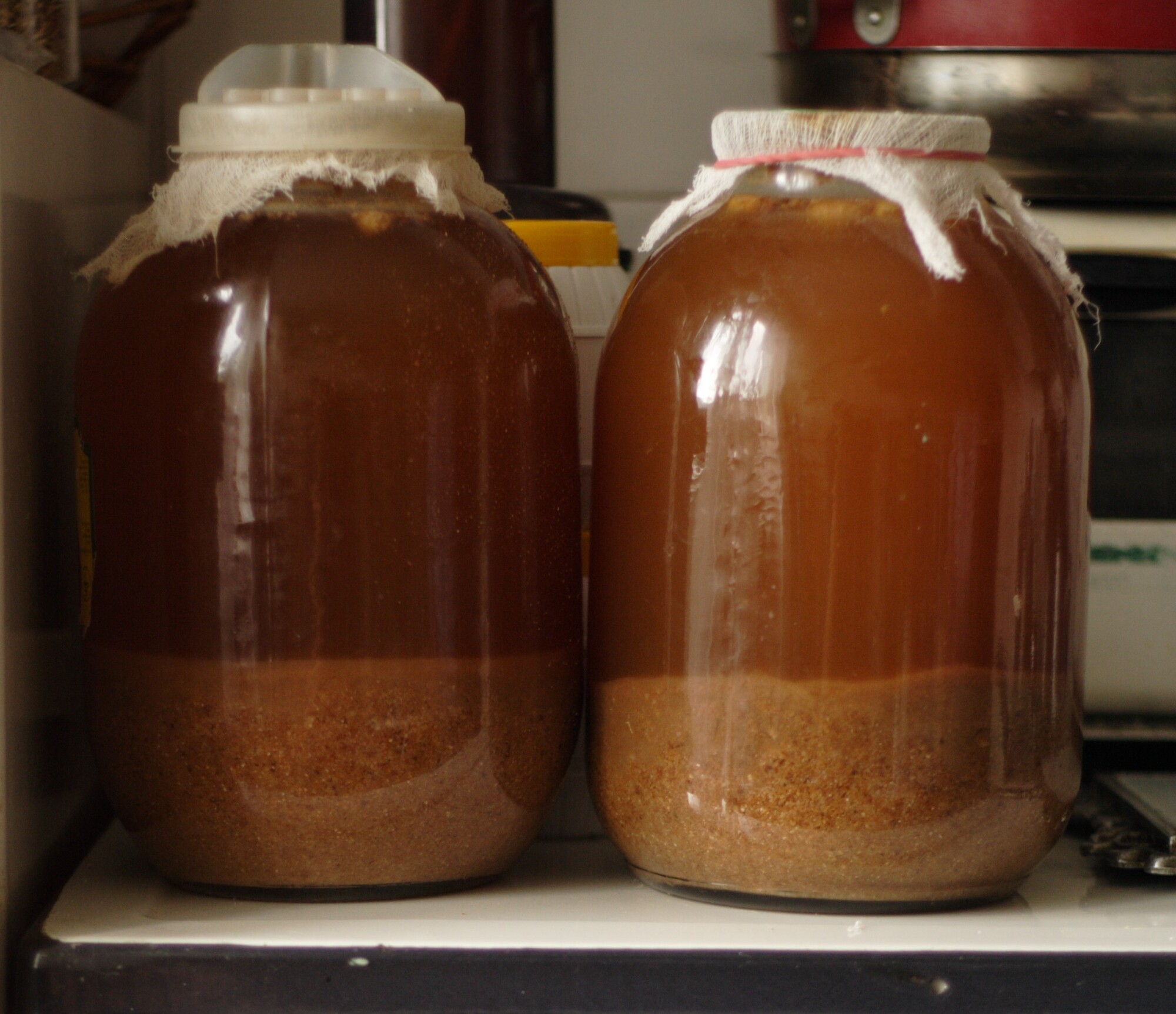 A fizzy fermented drink made from leftover bread