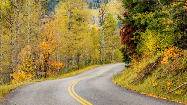 A road winding through a canyon in the fall. There are yellowing trees crowding both sides of the road with steeper, greener inclines visible in the background.
