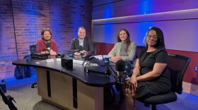 This week's panel for The Rundown includes Aprell May Munford, reporter for the Springfield Republican; former state senator and senior counsel at WilmerHale, Eric Lesser; and Dave Eisenstadter, state editor for MassLive.