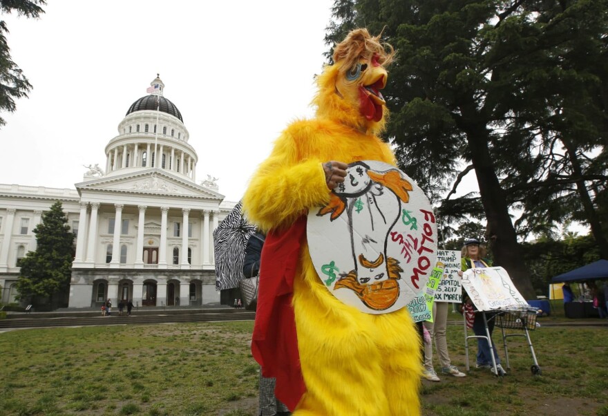 Dressed as the "Real Chicken Don" Shawn Frye joins others in calling for President Donald Trump to release his tax returns, Wednesday, April 12, 2017, at the Capitol in Sacramento, Calif. Tax March Sacramento activists are planning to join others in a protest on Tax Day, April 15  calling on the the president to release his tax returns. (Rich Pedroncelli/AP)