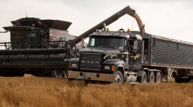  Soy is harvested from Mark Lehenbauer's farm in Palmyra, Missouri in 2020. 