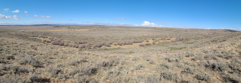 Here's the same area, after BOSH has come in and taken out the Juniper trees.