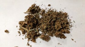 A small pile of dried marijuana flower.