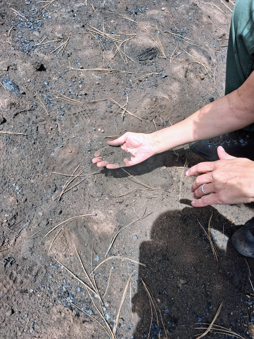 Shauna Jensen holds a handful of loose, fire-affected soil while examining ground conditions in the Ferris Fire burn area.