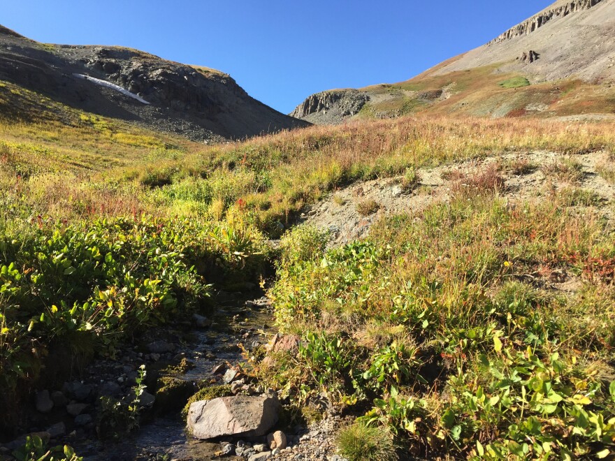 The Rio Grande begins as rills in glades and meadows at the Continental Divide, in the San Juan Mountains of southern Colorado.