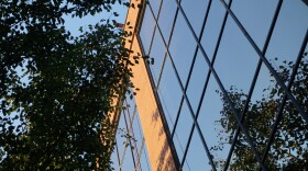 Bird-friendly windows at MEMIC in Portland.