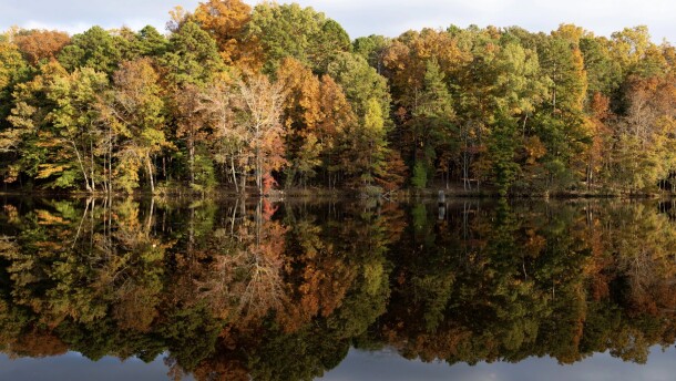 Guilford Woods reflected off a lake