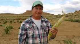 Michael Kotutwa Johnson standing inside his field at Second Mesa in September.