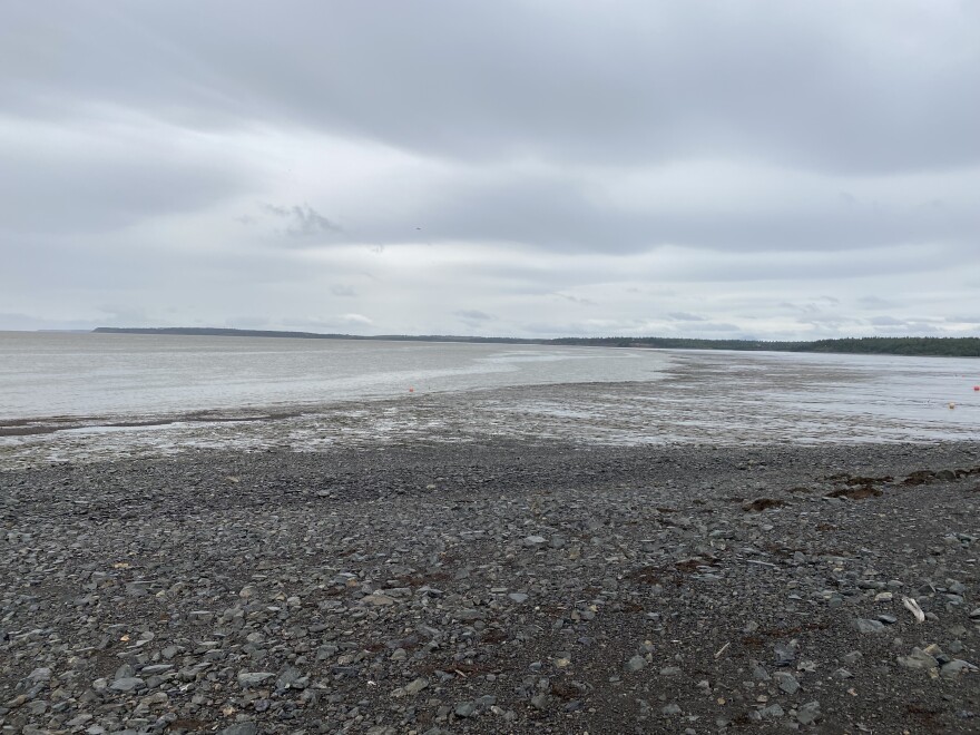 Scandinavian Beach the day after the initial reports about the oil spill.