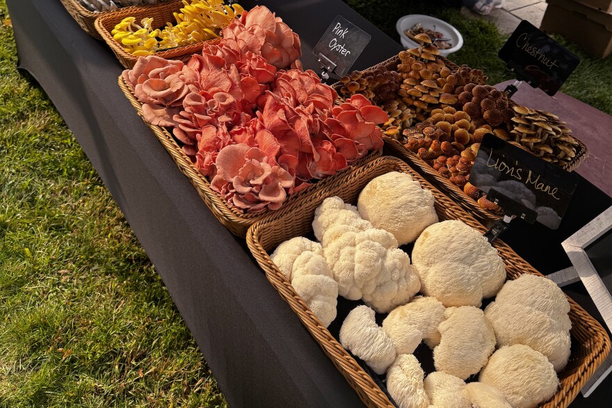 Oracle Mushrooms Co. display at a local farmers market.