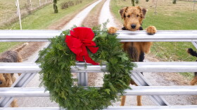 Community producer Renee Wilde investigates the holiday legend of animals talking on Christmas Eve.