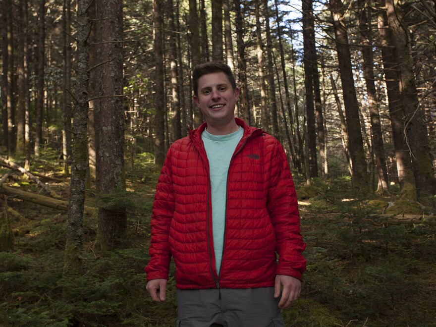 Scott Cory in a fir forest on Roan Mountain, in Tennessee.  He has been studying Fraser first in nature for nearly a decade.