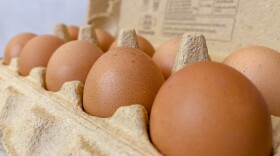 Brown eggs in cardboard egg carton.