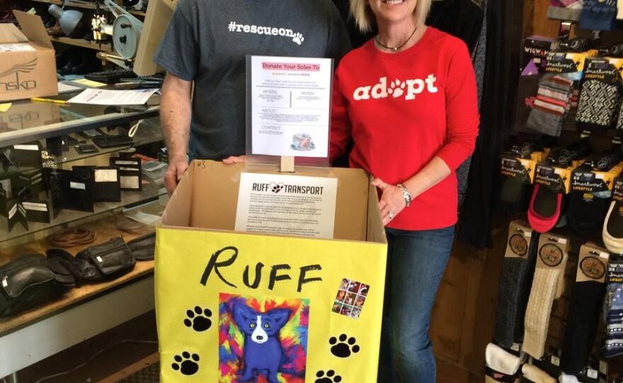 Pet Rescue Group Provides Freedom Rides For Animals In Need WYSO