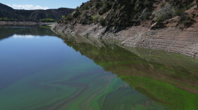 Algae bloom at the Santa Cruz Lake near Chimayo, New Mexico, on September 18, 2026.