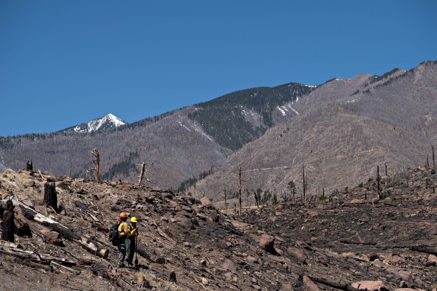 A pair of resource advisors from the Coconino National Forest record data as they work to determine the severity of Tunnel Fire's impact on the forest Thu, April 21, 2022. The east side of the San Francisco Peaks show the effects of the 2010 Schultz Fire.