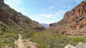 The North Kaibab Trail near Cottonwood Camp below the North Rim of Grand Canyon National Park.