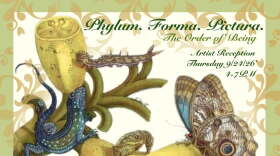 Poster for exhibit at Lizzard's Art Gallery; sepia tone image of bugs and plants