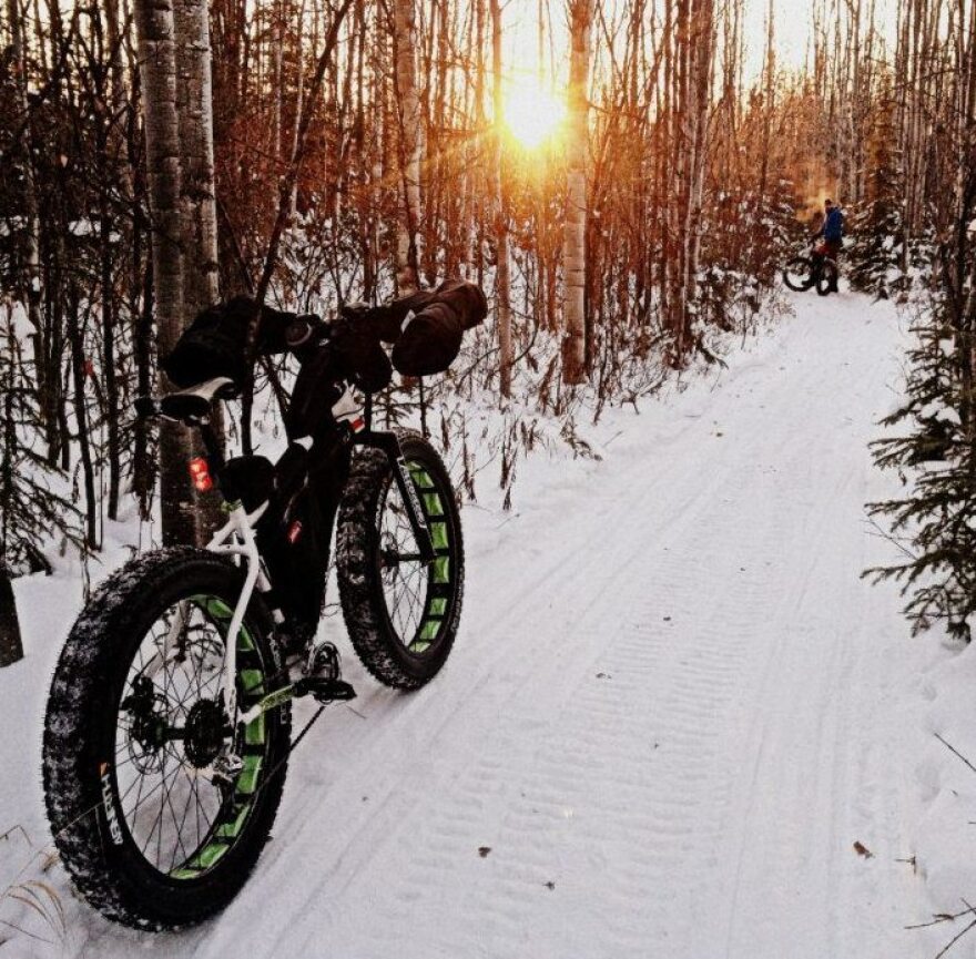 The wider tires on fat bikes roll over the snow better than regular mountain bikes. The first fat bikes were made by welding the rims of three mountain bike wheels together.