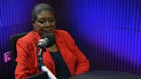 Dot Inman-Johnson spoke with WFSU's Tristan Wood on Candidate Convos, a digital series featuring one-on-one interviews with local candidates in Tallahassee and Leon County ahead of the August primaries.