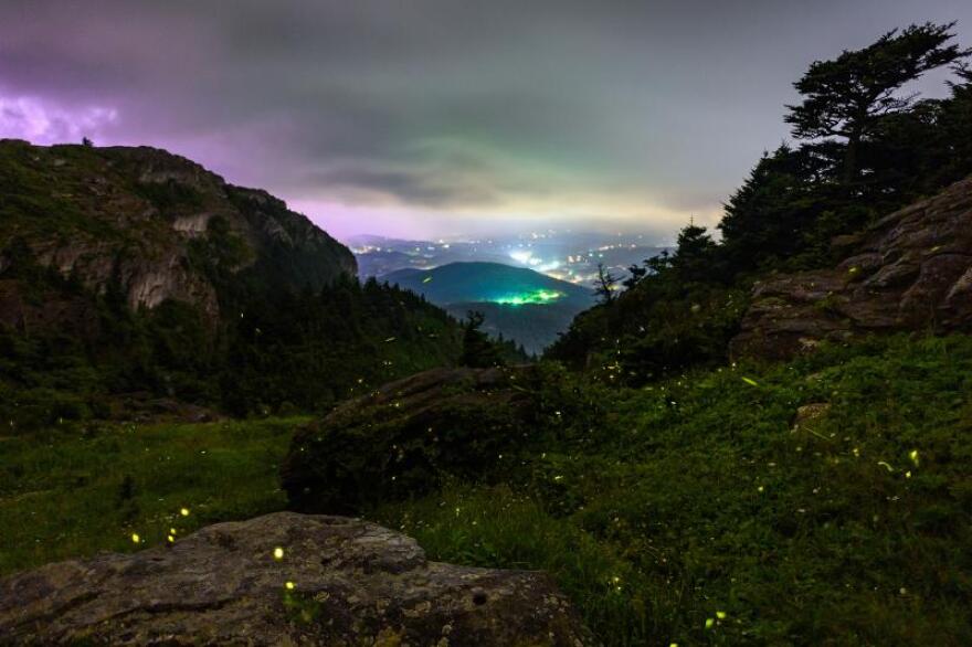 Three nighttime viewing events known as "Grandfather Glows: Bioluminescent Evenings on Grandfather Mountain" will take place this summer.