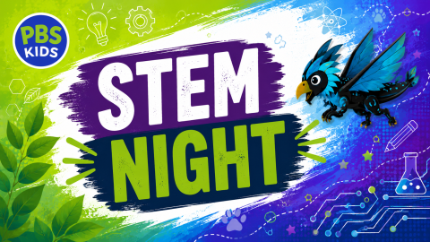 PBS Kids poster for "STEM Night," featuring a colorful background with science-themed icons, a mechanical bird illustration, and vibrant greens and blues.
