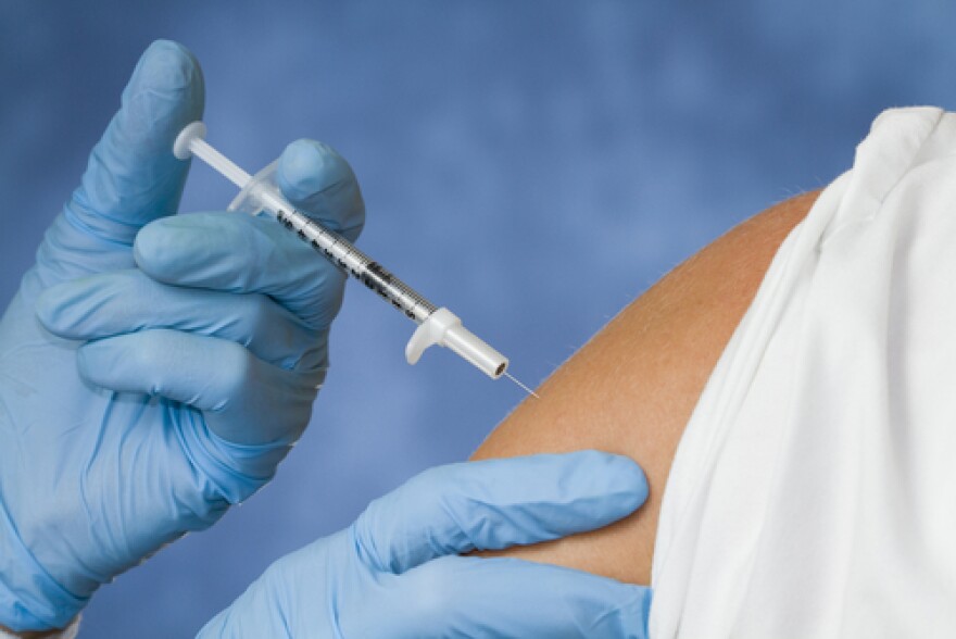 Experts say getting the vaccine early each year is the best protection against the flu.