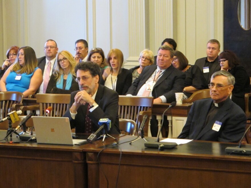 Princeton computer science professor Andrew Appel testifies at Assembly Judiciary Committee hearing