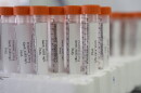Vials containing PFAS samples sit in a tray.