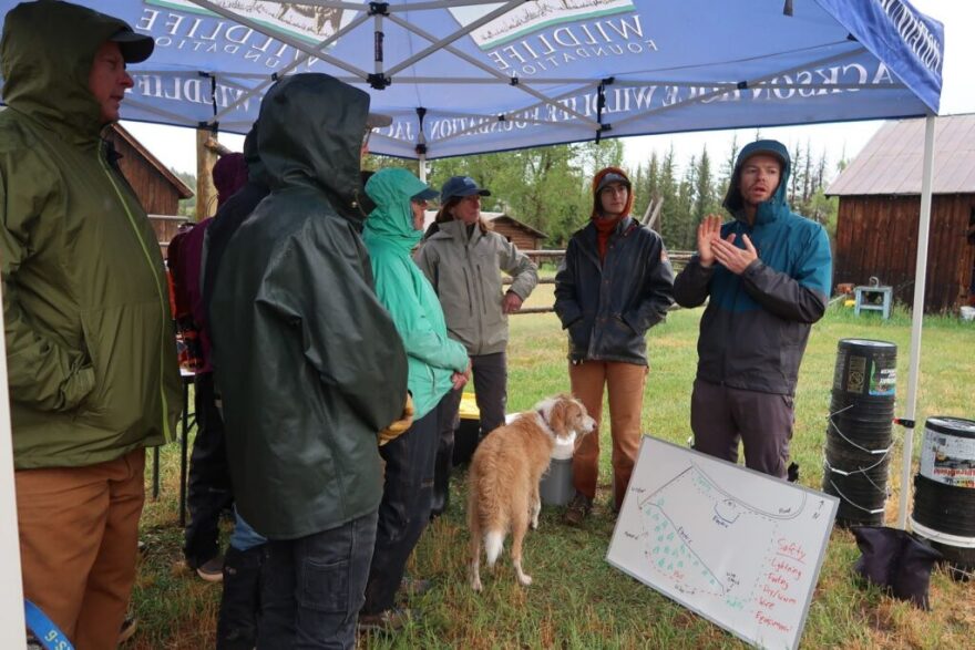 People bundled up for rain and a dog stand under a tent talking.