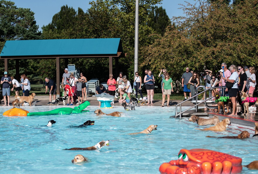 Dogs paddle in the pool for the final swim of the season at the Leawood Aquatic Center in September 2025. Area pools are offering area canines a chance to beat the heat before the water is drained at the end of the season.