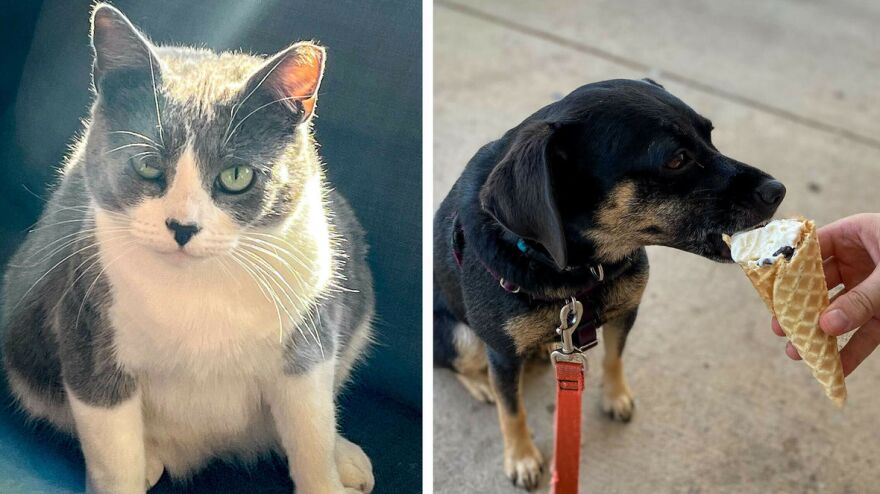 Ben de la Cruz/NPR; Lauren Migaki/NPR