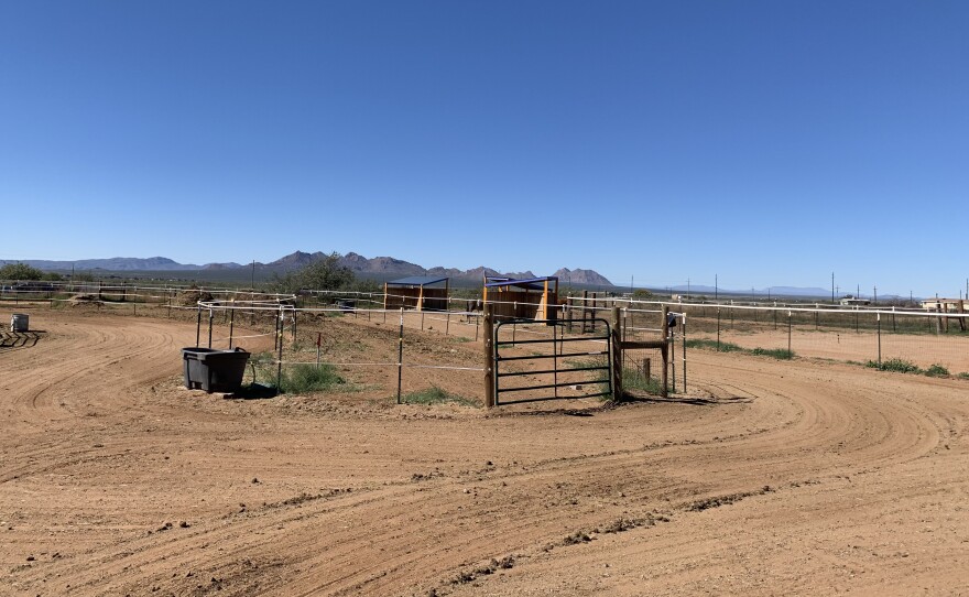 Part of the track system at Dharmahorse Equine Sanctuary