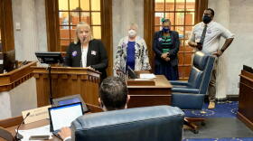Members of Indiana's independent citizen redistricting commission testify at the Senate Elections Committee