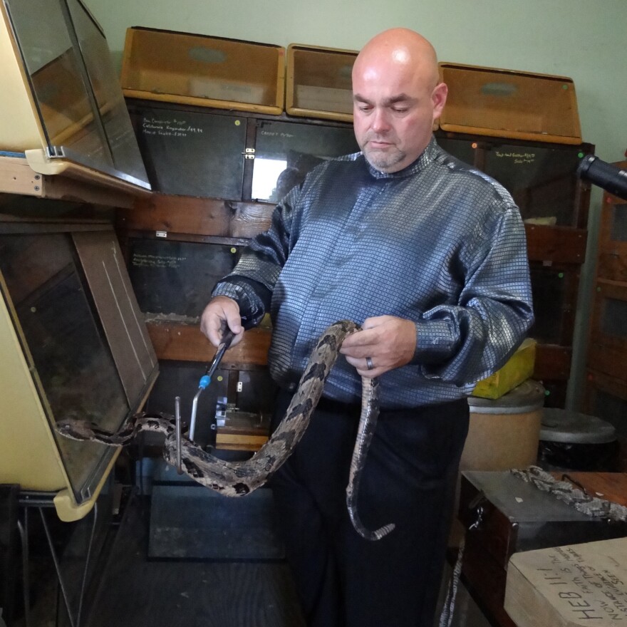 Coots in his snake room behind his house in Middlesboro.