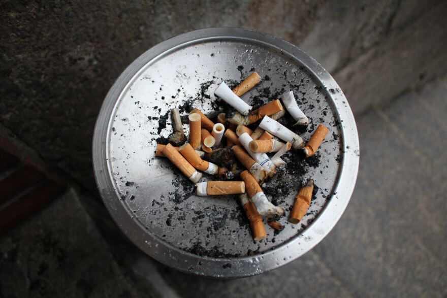 how was the tobacco mosaic virus discovered Electron Micrographic Observations of Tobacco Mosaic Virus in Crude, Undiluted Plant Juice how was the tobacco mosaic virus discovered Electron Micrographic Observations of Tobacco Mosaic Virus in Crude, Undiluted Plant Juice