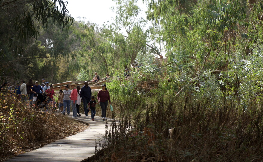 A group of people walking along a curved wooden path in a lush green area. 