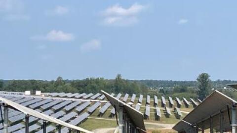 Sheep graze on land between 1.8 million solar panels in Spotsylvania County.