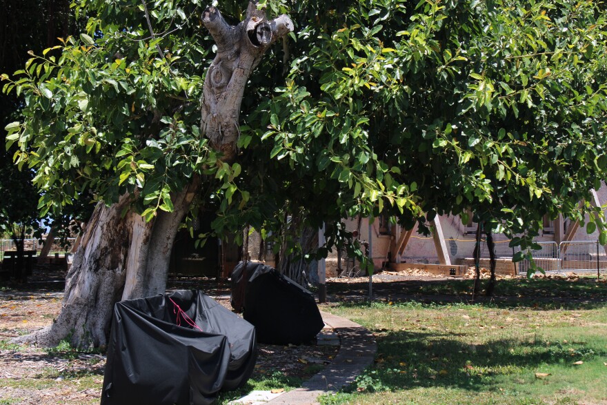 An imaged of covered benches by the Lahaina Banyan Tree three years after the wildfires.