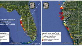 Map of Florida showing high concentrations of red tide along the west coast using red dots from Pasco to Sarasota. 