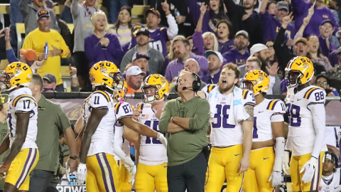 LSU Tigers Football vs Florida Gators, Tiger Stadium, Baton Rouge, Louisiana, NCAA College Team, SEC