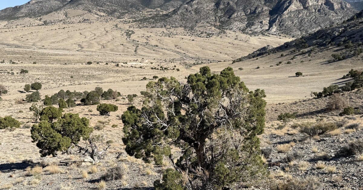 Ranchers and water advocates want to stop this southern Utah pipeline project