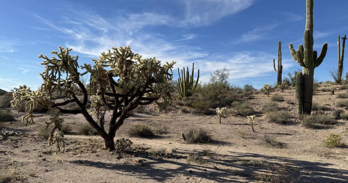 Mexico warns environment at the border can be deadly for undocumented migrants