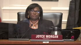  Councilwoman Joyce Morgan chairs the Transportation, Energy and Utilities committee. She was one of two members in committee to vote in favor of removing the statue.