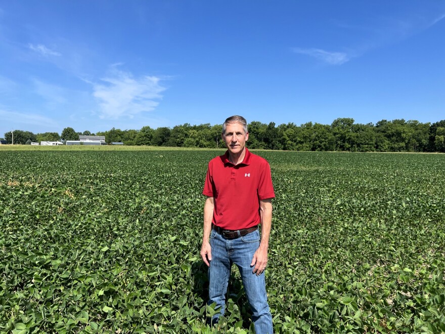 A farmer stands in a field of green soybeans.