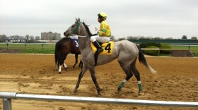 Horses at Pimlico Race Course - as well as at the other two Triple Crown venues - run on dirt. Experts say synthetic surfaces have a better track record of minimizing horse injuries.