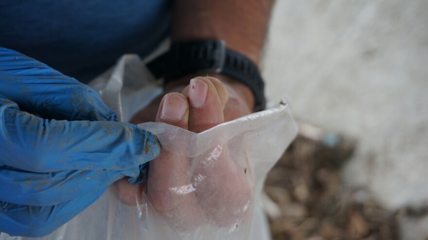  Benjamin Montague holds a microplastic collected from the edge of the Great Miami River. 