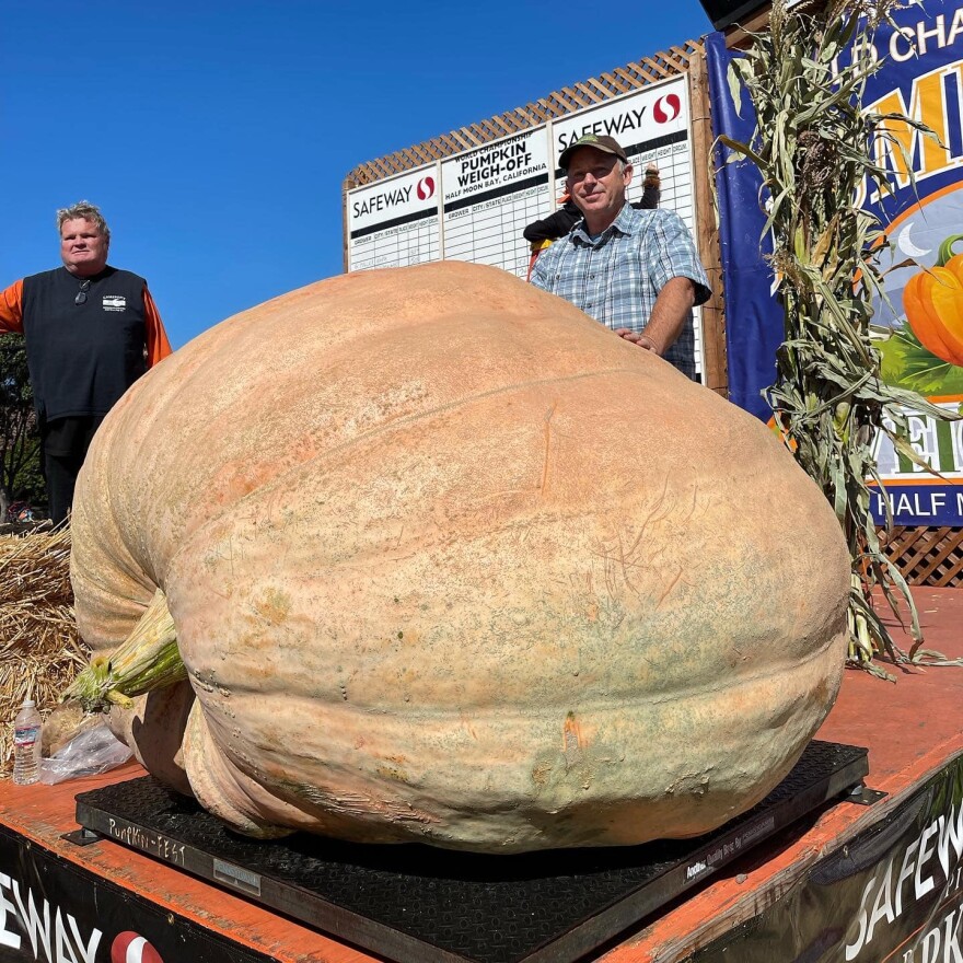 2021 Safeway World Champion Pumpkin Weigh-off winner, sporting a brown cap, light blue plaid shirt and smile, with his pumpkin. 